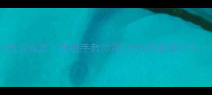 优盘数据全变0怎么恢复手把手教你用3步找回重要文件附详细教程