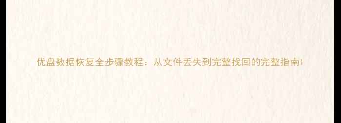 优盘数据恢复全步骤教程从文件丢失到完整找回的完整指南