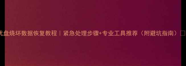 优盘烧坏数据恢复教程紧急处理步骤专业工具推荐附避坑指南