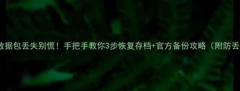 传送门数据包丢失别慌手把手教你3步恢复存档官方备份攻略附防丢指南