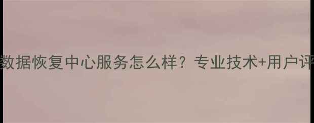 佰络数据恢复中心服务怎么样专业技术用户评价全