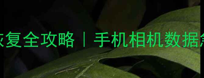 图片 佳能CR2照片恢复全攻略｜手机相机数据急救指南💻📸2