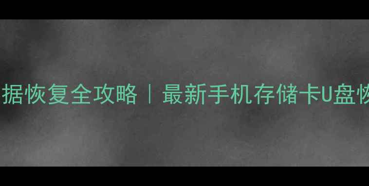 图片 储存卡数据恢复全攻略｜最新手机存储卡U盘恢复教程1