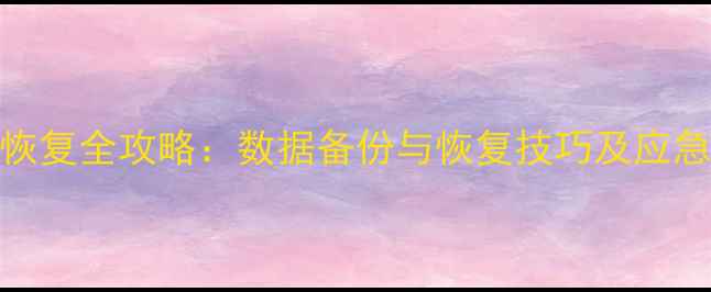 图片 兄弟数据恢复全攻略：数据备份与恢复技巧及应急处理指南