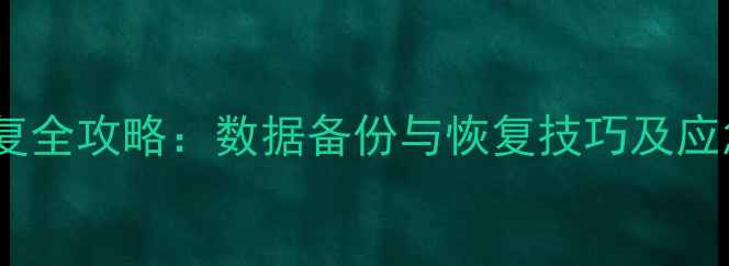 图片 兄弟数据恢复全攻略：数据备份与恢复技巧及应急处理指南2