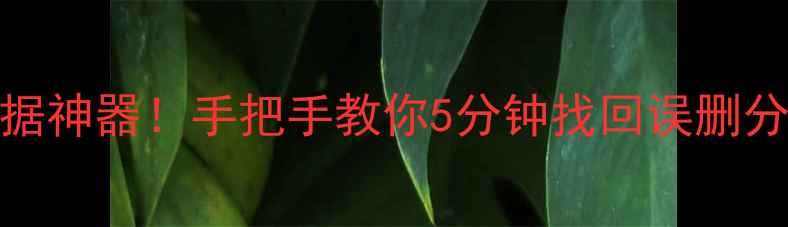 图片 免费分区恢复数据神器！手把手教你5分钟找回误删分区里的重要文件