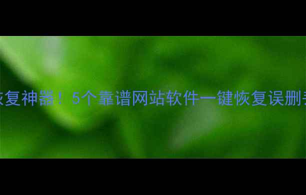 图片 免费手机电脑文件恢复神器！5个靠谱网站软件一键恢复误删丢失数据（附教程）