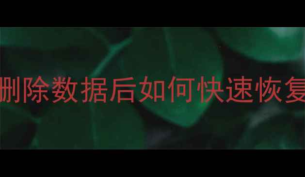 全步骤教程苹果笔记本删除数据后如何快速恢复专业方法实用技巧