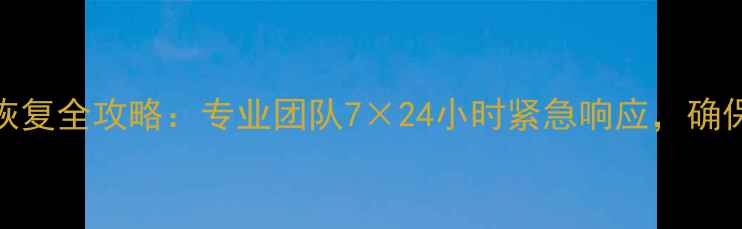图片 公安网文件数据恢复全攻略：专业团队7×24小时紧急响应，确保敏感数据零丢失
