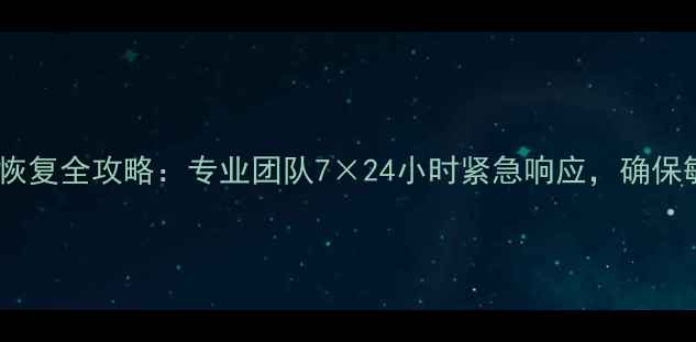 公安网文件数据恢复全攻略专业团队724小时紧急响应确保敏感数据零丢失