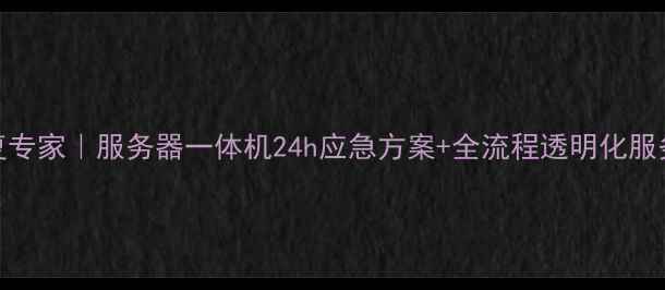 图片 六安本地数据恢复专家｜服务器一体机24h应急方案+全流程透明化服务（附真实案例）