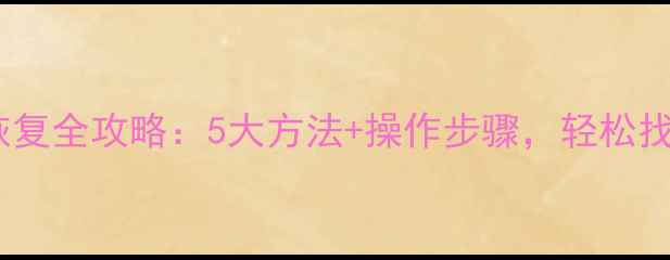 内存卡数据恢复全攻略5大方法操作步骤轻松找回重要文件