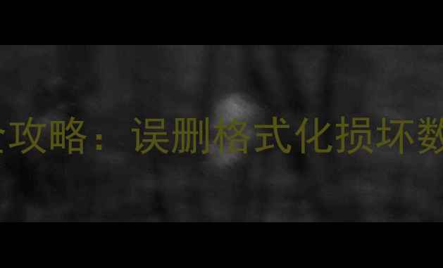 内存卡数据恢复全攻略误删格式化损坏数据一键找回技巧