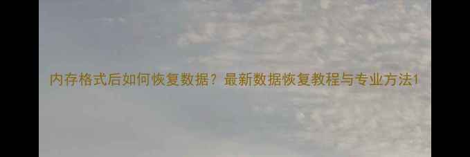 图片 内存格式后如何恢复数据？最新数据恢复教程与专业方法1