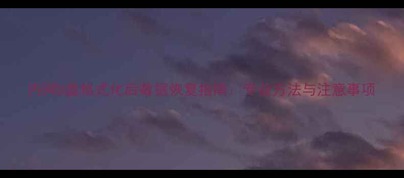 图片 内网U盘格式化后数据恢复指南：专业方法与注意事项