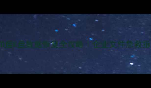 图片 内部网D盘E盘数据恢复全攻略｜企业文件急救指南💻🔧