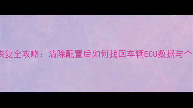图片 凯美瑞数据恢复全攻略：清除配置后如何找回车辆ECU数据与个人账户信息2