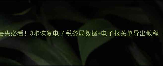 图片 出口退税数据丢失必看！3步恢复电子税务局数据+电子报关单导出教程（附修复工具）