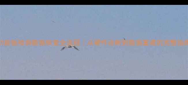 图片 功能板检测数据恢复全流程｜从硬件诊断到数据重建的完整指南