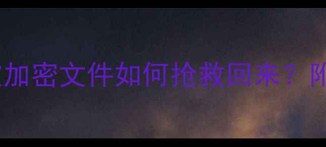 图片 勒索病毒数据恢复全攻略｜被加密文件如何抢救回来？附免费工具&专业机构选择指南