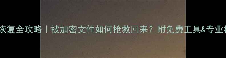 图片 勒索病毒数据恢复全攻略｜被加密文件如何抢救回来？附免费工具&专业机构选择指南2