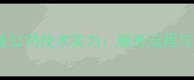 图片 北亚数据恢复公司技术实力：服务流程与用户口碑全1
