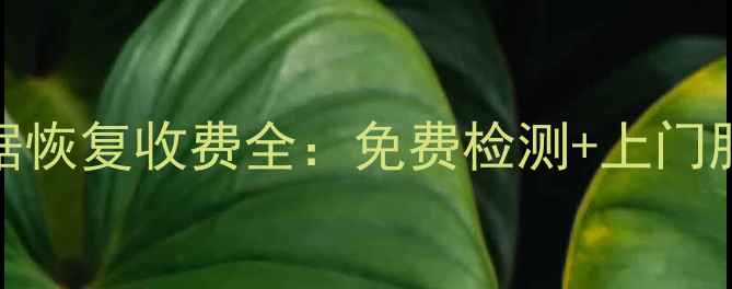 图片 北京U盘格式化数据恢复收费全：免费检测+上门服务+透明报价指南