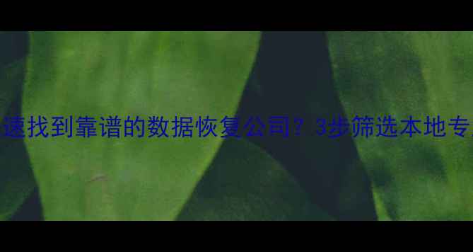 图片 北京上海深圳如何快速找到靠谱的数据恢复公司？3步筛选本地专业服务商的实操指南