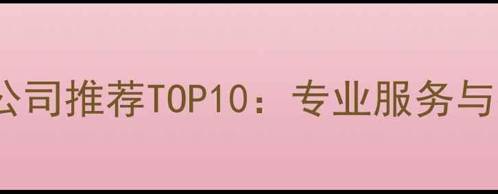 图片 北京数据恢复公司推荐TOP10：专业服务与技术创新指南1