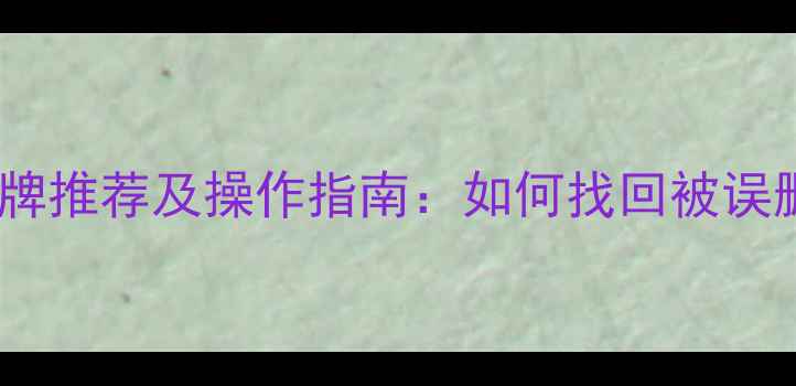 图片 十大固态硬盘数据恢复品牌推荐及操作指南：如何找回被误删的办公文件与系统分区1