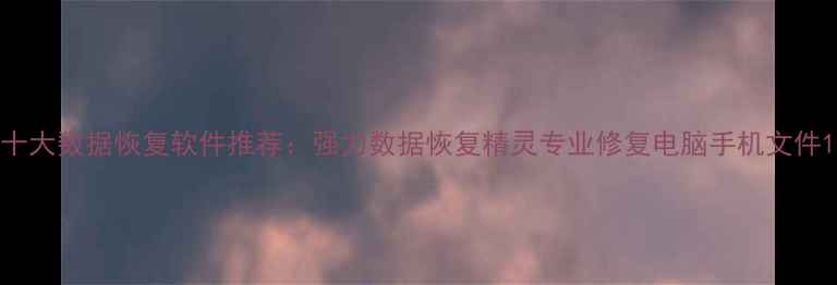 十大数据恢复软件推荐强力数据恢复精灵专业修复电脑手机文件