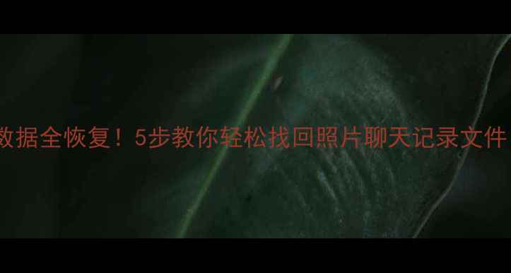 华为手机降级后数据全恢复5步教你轻松找回照片聊天记录文件附详细教程