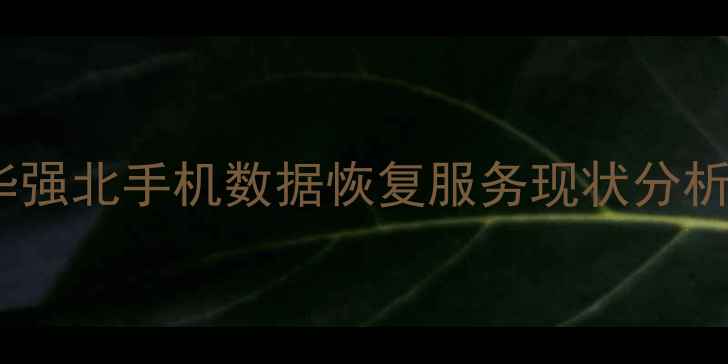 图片 华强北手机数据恢复服务现状分析1