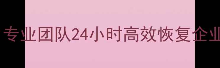 南京服务器数据恢复专业团队24小时高效恢复企业数据费用透明
