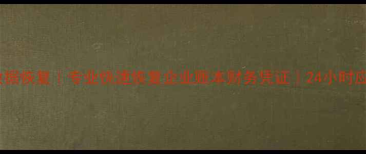 南京管家婆数据恢复专业快速恢复企业账本财务凭证24小时应急修复服务