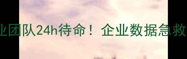 图片 南宁服务器数据恢复｜专业团队24h待命！企业数据急救指南（附免费诊断通道）1