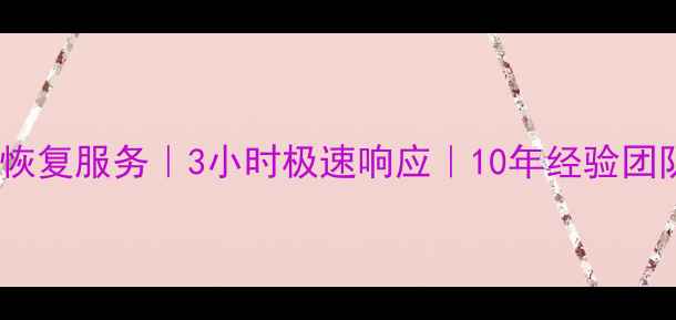 右江区专业硬盘数据恢复服务3小时极速响应10年经验团队守护您的数字资产