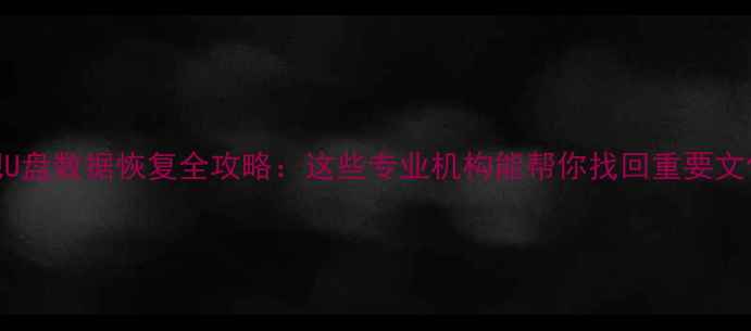 图片 合肥U盘数据恢复全攻略：这些专业机构能帮你找回重要文件！