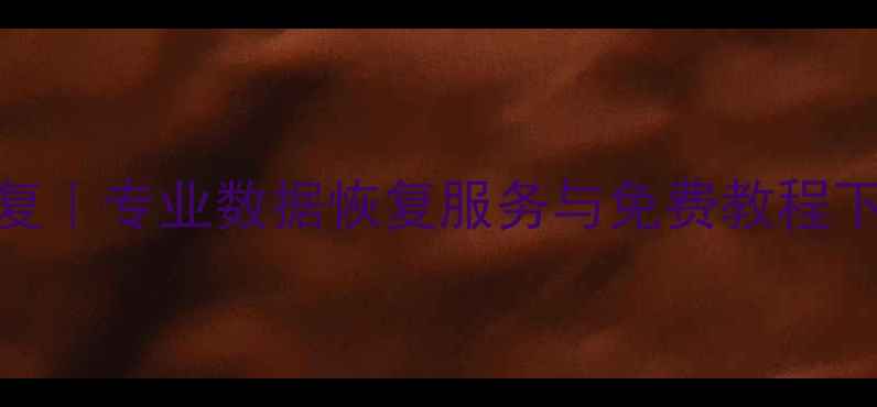 吐师傅数据恢复专业数据恢复服务与免费教程下载最新版