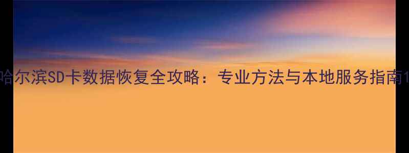 哈尔滨SD卡数据恢复全攻略专业方法与本地服务指南