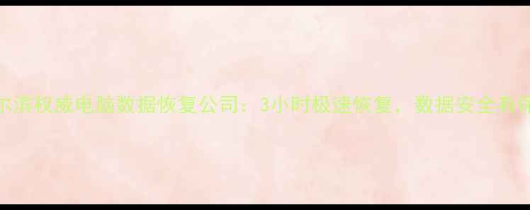 哈尔滨权威电脑数据恢复公司3小时极速恢复数据安全有保障