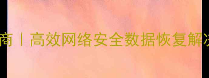 嘉兴专业数据恢复服务商高效网络安全数据恢复解决方案24小时服务