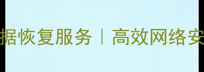 图片 嘉兴本地专业数据恢复服务｜高效网络安全数据恢复平台