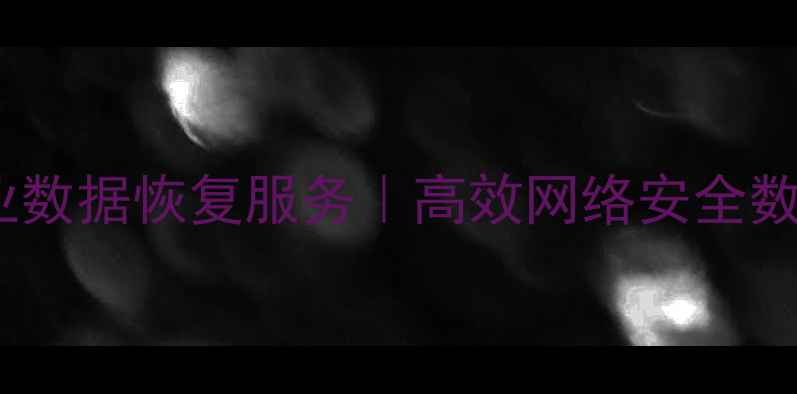 图片 嘉兴本地专业数据恢复服务｜高效网络安全数据恢复平台1