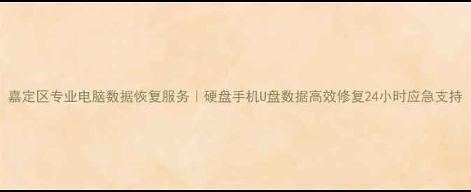 图片 嘉定区专业电脑数据恢复服务｜硬盘手机U盘数据高效修复24小时应急支持