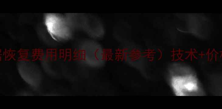 图片 固态硬盘512G数据恢复费用明细（最新参考）技术+价格参考+操作指南1