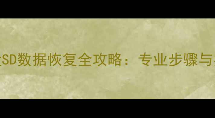 图片 固态硬盘SD数据恢复全攻略：专业步骤与实用工具