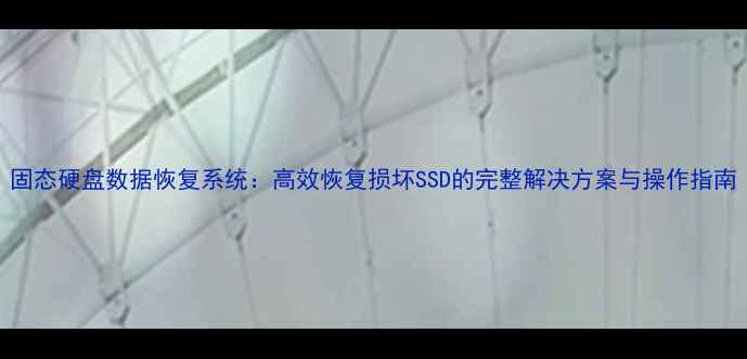 固态硬盘数据恢复系统高效恢复损坏SSD的完整解决方案与操作指南