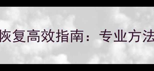 图片 固态硬盘数据恢复高效指南：专业方法与注意事项全