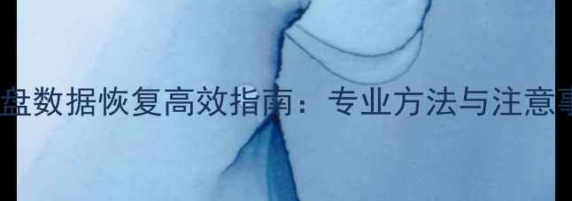 图片 固态硬盘数据恢复高效指南：专业方法与注意事项全2